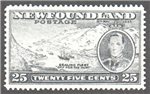 Newfoundland Scott 242 Mint VF (P13.7)